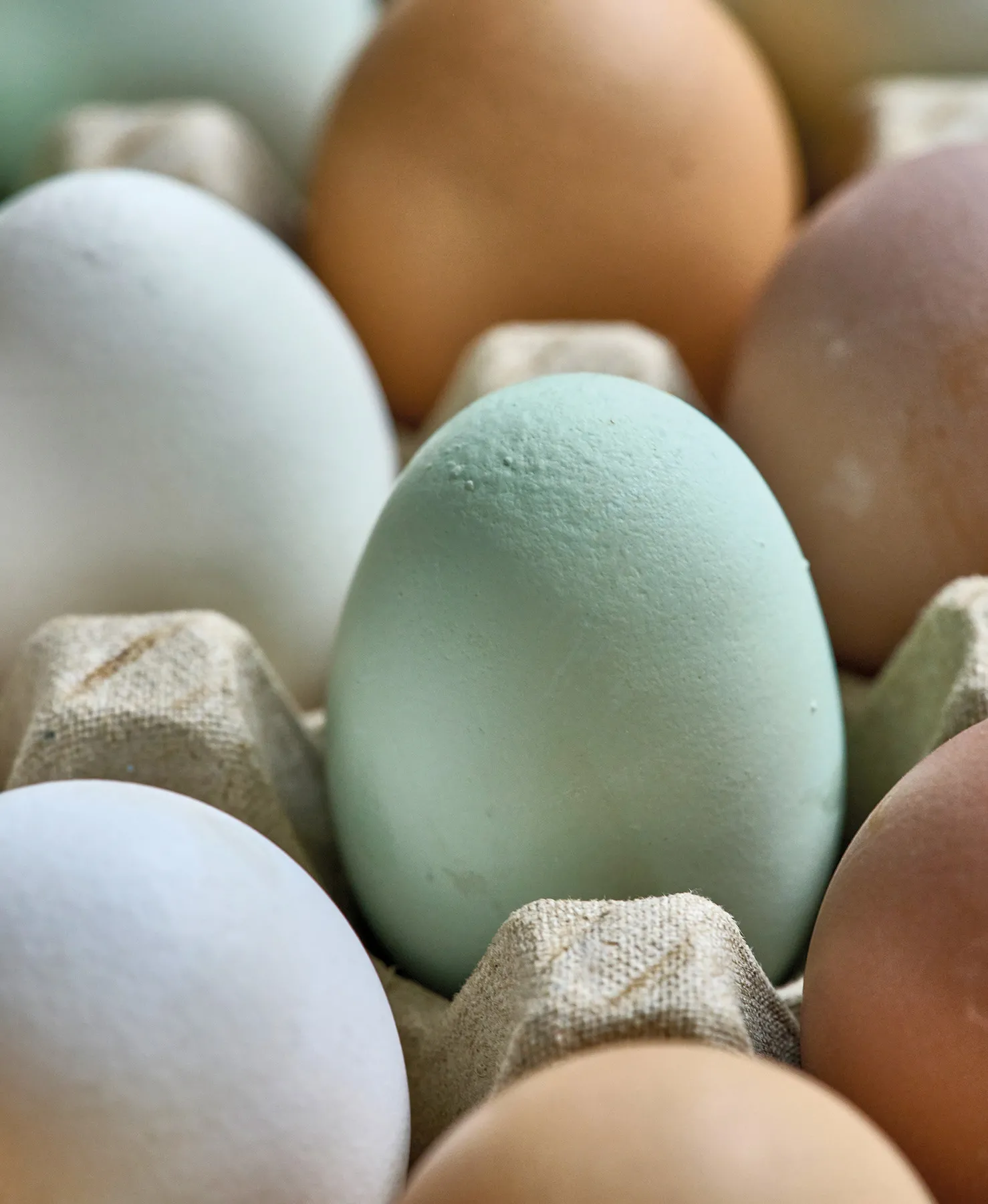Eggs