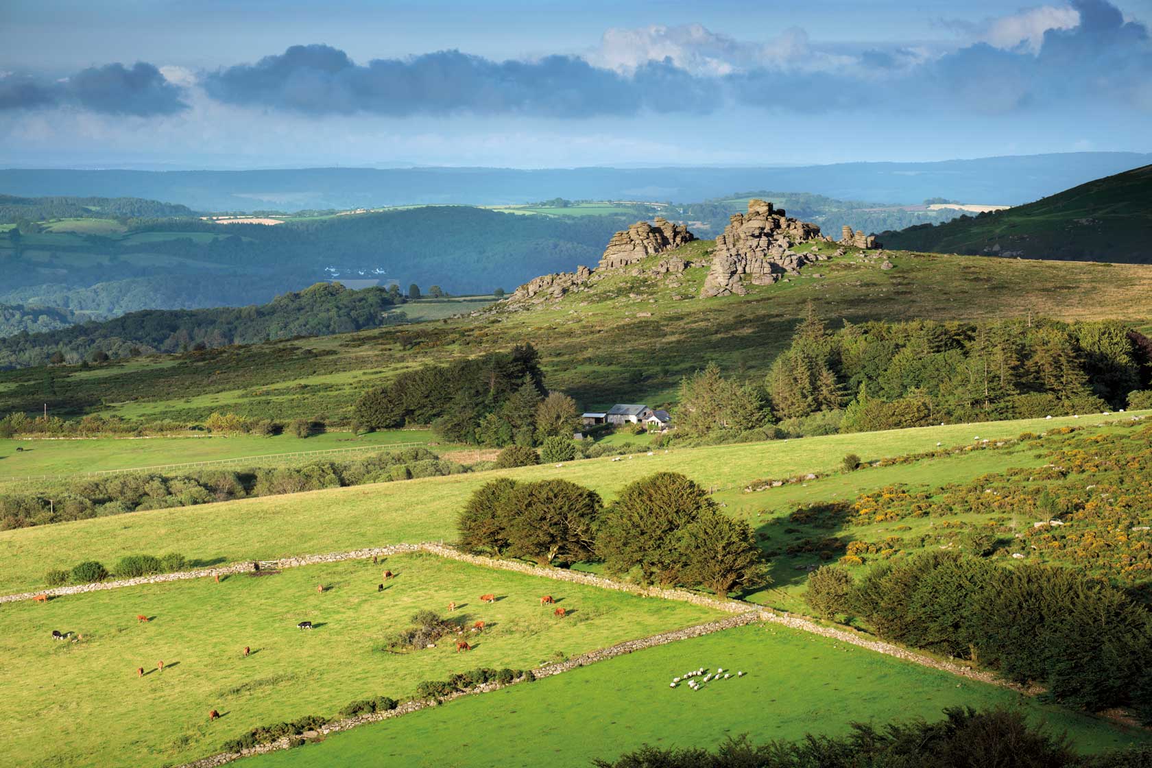 Hound Tor, Dartmoor. Photo by Tom Wilkinson